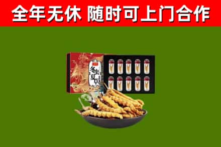 江油市烟酒回收冬虫夏草礼盒.jpg